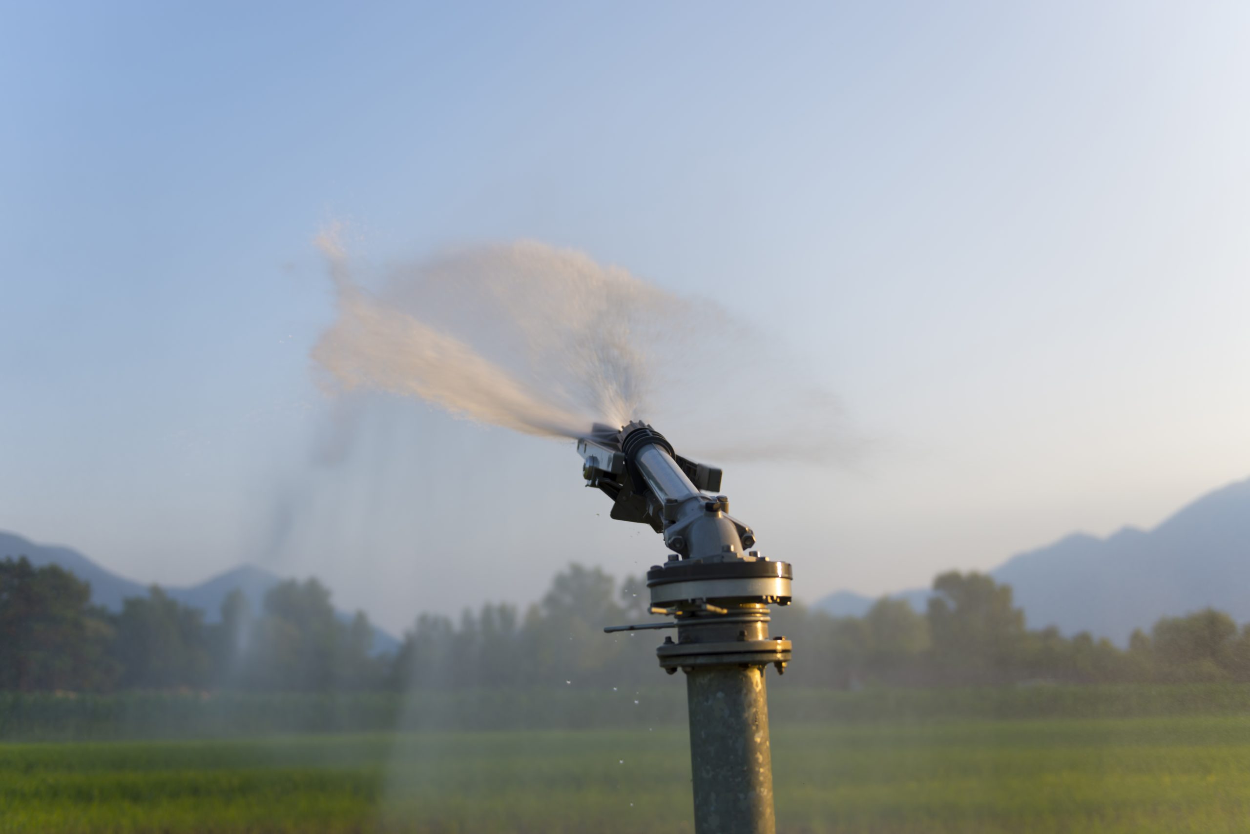 Water-wise irrigation
